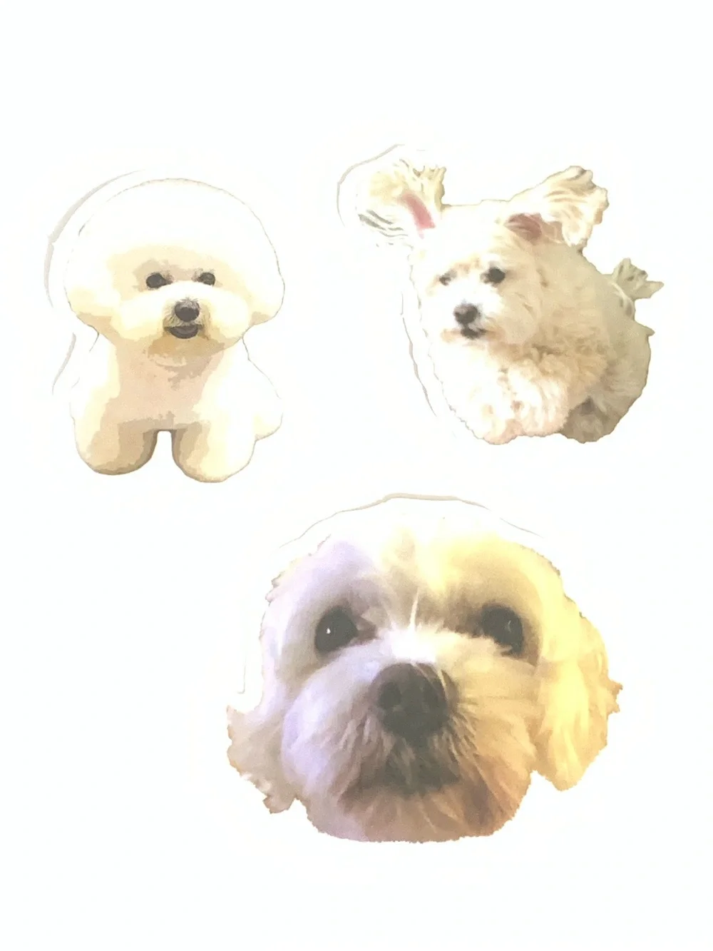 Cute White Puppy Sticker Set